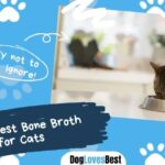 Best Bone Broth for Cats