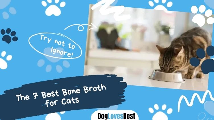 Best Bone Broth for Cats