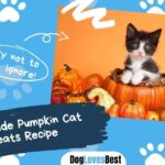 Homemade Pumpkin Cat Treats Recipe