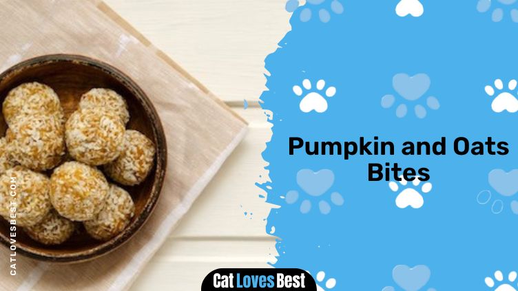 Pumpkin and Oats Bites