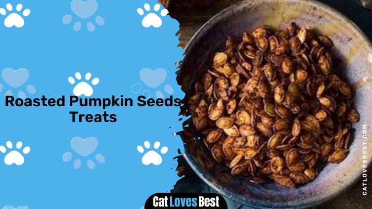 Roasted Pumpkin Seeds Treats