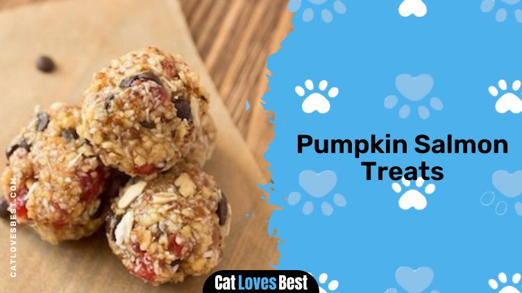 Pumpkin Salmon Treats