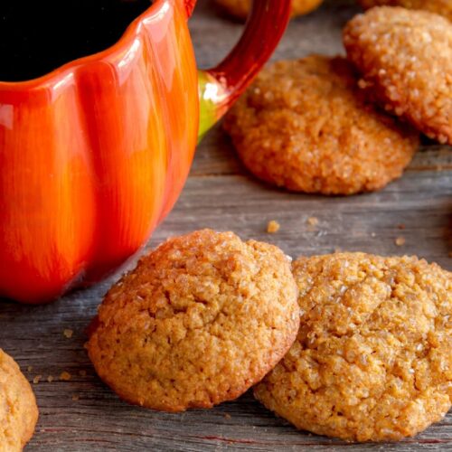 Chicken and Pumpkin Cat Treats