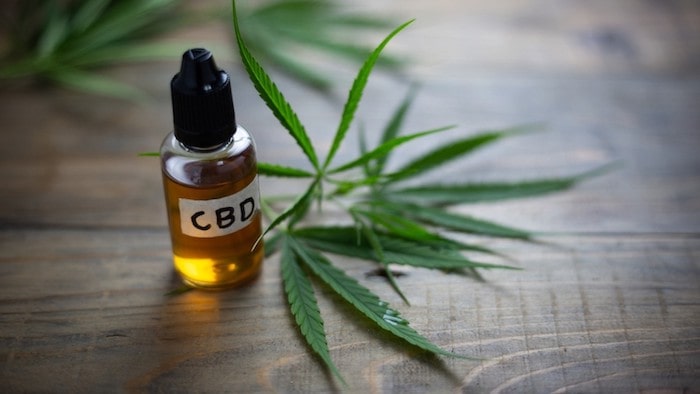 Understanding The Benefits Of CBD Oil For Cats