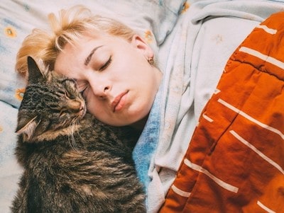 Do Cats Care That Were Asleep