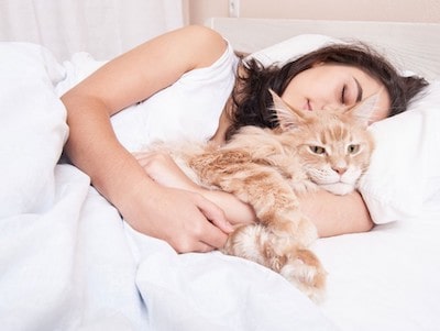 How To Improve Your Sleep Quality With Your Cat