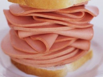 bologna for cats