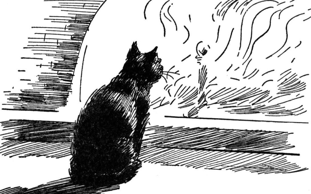 CAT FIRE CARTOON