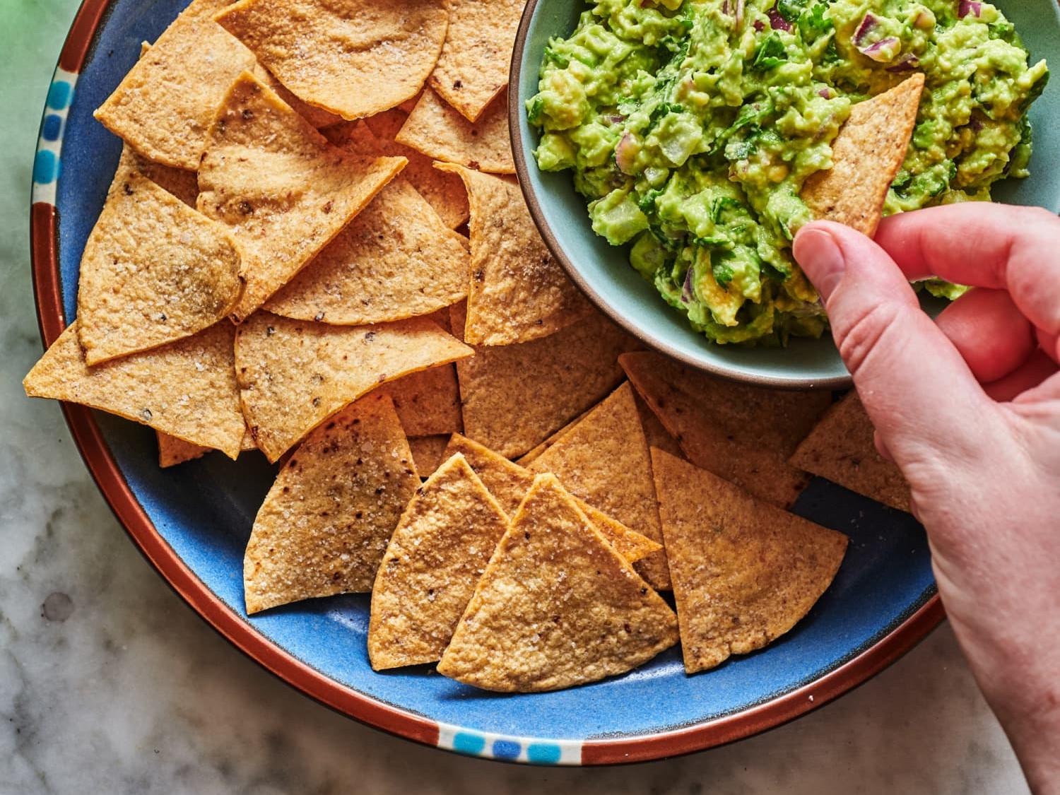 Can Cats Eat Tortilla Chips? Exploring Feline Dietary Safety