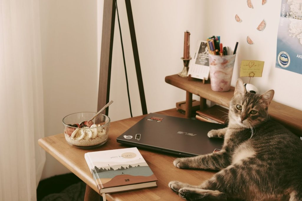 How Working From Home Affects Your Cat